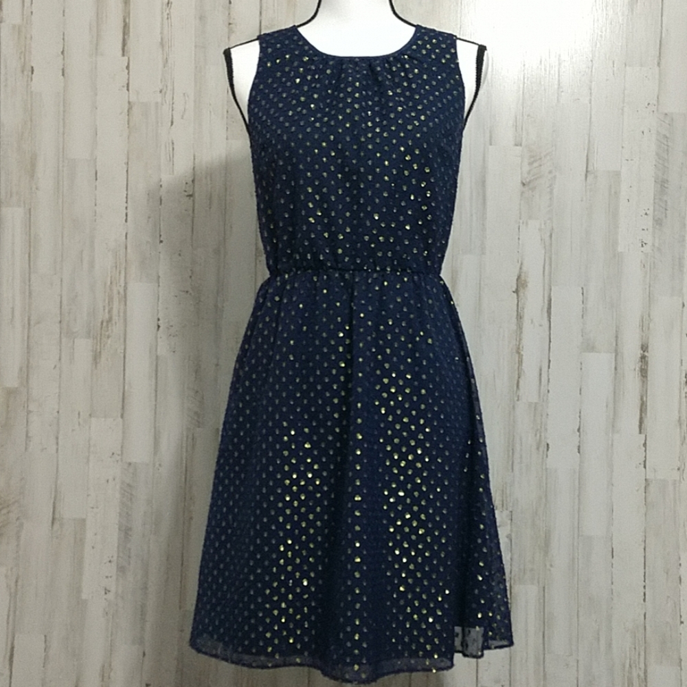 NWT J. Crew Navy Blue Dress